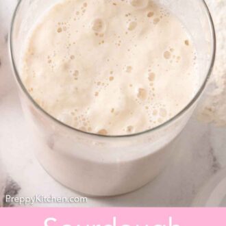 Pinterest graphic of an overhead view of a container of sourdough starter with bubbles.