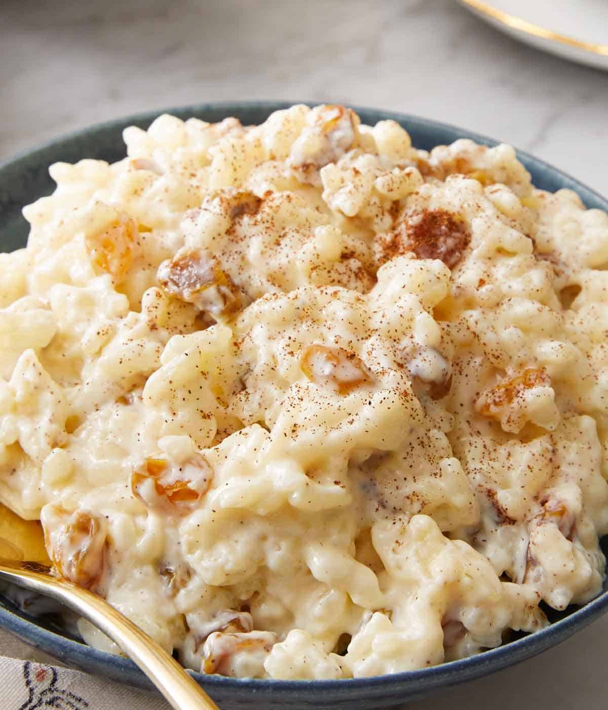 Close up of a bowl of rice pudding with cinnamon sprinkled on top.