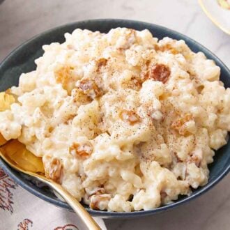 A bowl of rice pudding with a spoon tucked in with cinnamon on top and raisins mixed throughout.