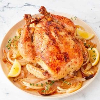 Roasted chicken over a plate of onions, lemon, and thyme with a small bowl of pepper on the side.