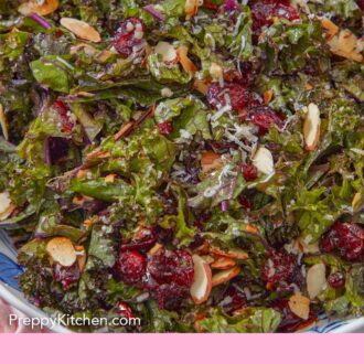 Pinterest graphic of a close up view of kale salad with grated parmesan, almonds, and cranberries.