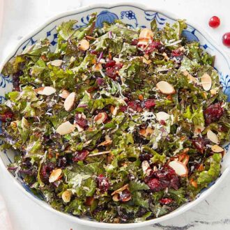 A slightly overhead angle of a large bowl of kale salad with cranberries off to the side.