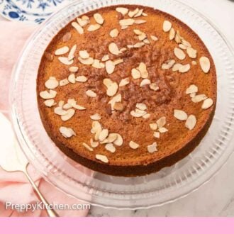 Pinterest graphic of an overhead view of a honey cake with almonds on top on a clear cake stand.