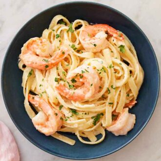 Overhead view of a plate of shrimp Alfredo with chopped parsley on top.
