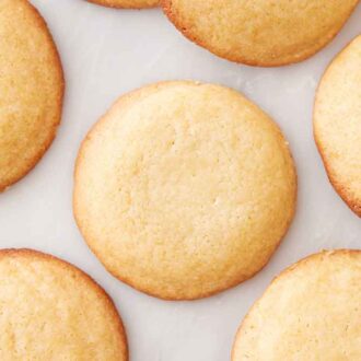 Overhead view of honey cookies in a single layer.