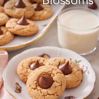 Pinterest graphic of a plate with three peanut butter blossoms with a glass of milk and a platter of more peanut butter blossoms in the background.