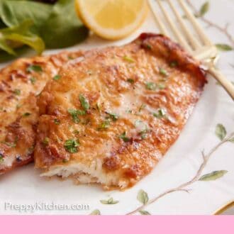 Pinterest graphic of a plate with sole meunière with lemon wedges with a bite taken off the end of the fillet.