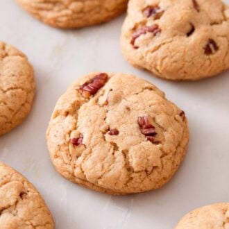 Multiple butter pecan cookies in a single layer on a counter.