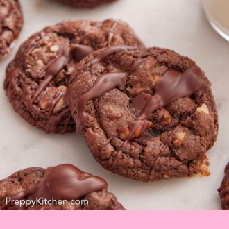 Pinterest graphic of multiple turtle cookies on a marble surface with a glass of milk.