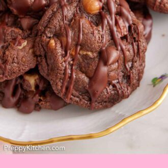 Pinterest graphic of a close up view of a turtle cookie on a platter.