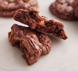 Pinterest graphic of a turtle cookie torn in half, propped on top of each other.