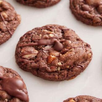Turtle cookies on a marble surface.