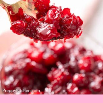 Pinterest graphic of a spoonful of homemade cranberry sauce lifted from a bowl.