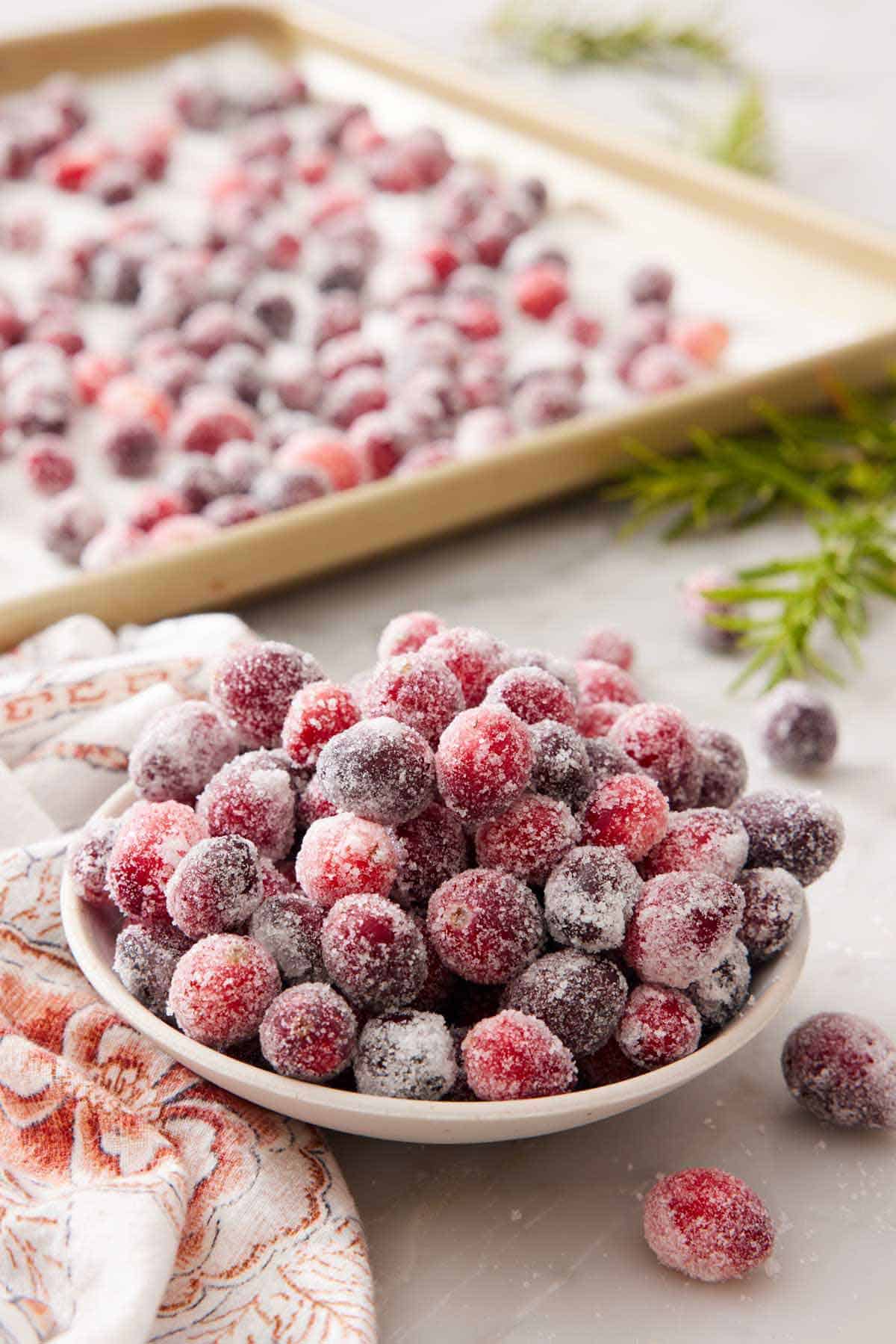 A bowl of sugared cranberries with a sheet pan with more in the background.