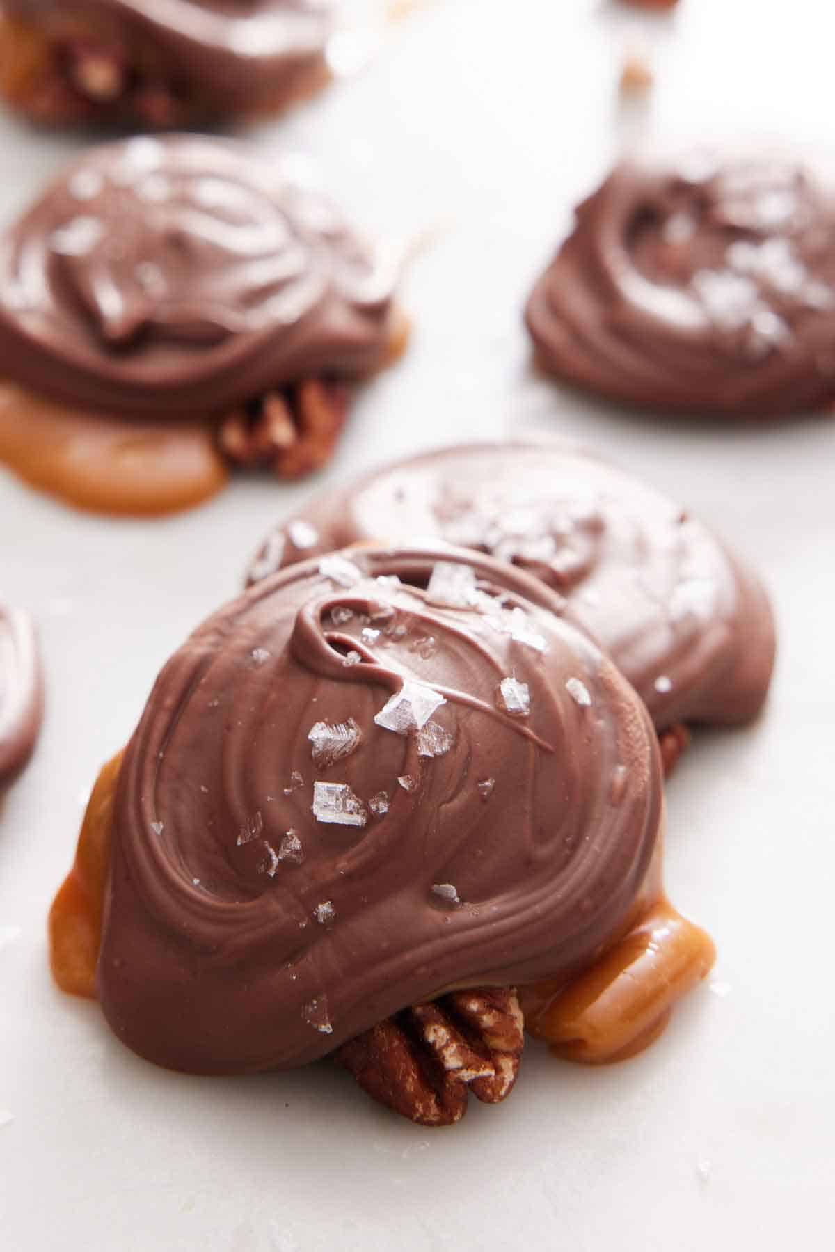 Multiple turtles on a white surface with one slightly stacked on top of another.