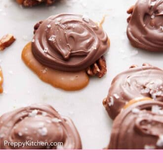 Pinterest graphic of multiple turtles on a marble surface. Sea salt sprinkled on top.