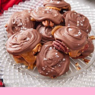 Pinterest graphic of a crystal platter of turtles topped with flaky sea salt.