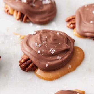 Multiple turtles topped with flaky sea salt.