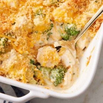 A baking dish of chicken divan with a spoon scooping some out.