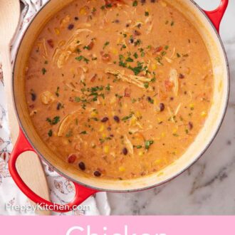 Pinterest graphic of a pot of chicken enchilada soup with a bowl of tortilla strips on the side.