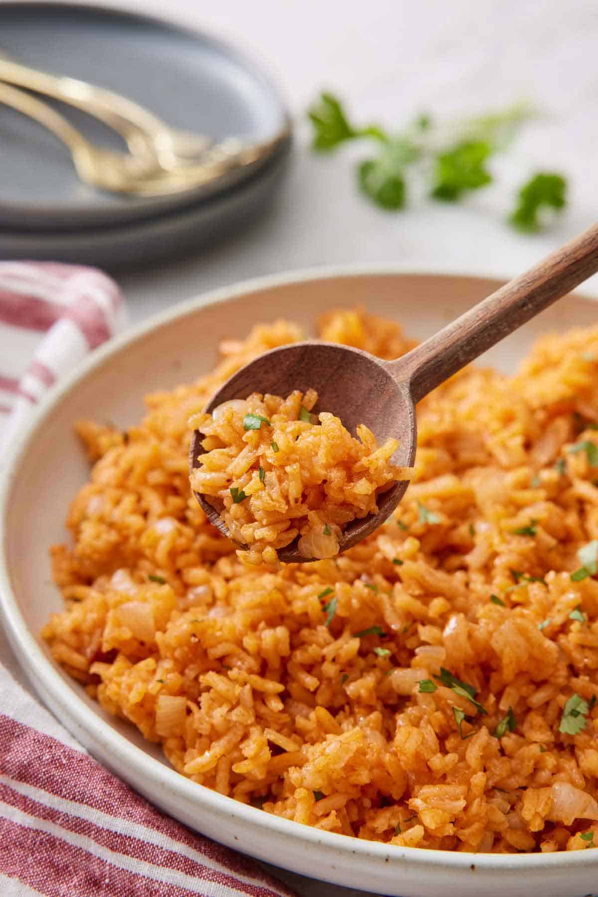 A spoonful of Mexican rice lifted from a plateful.