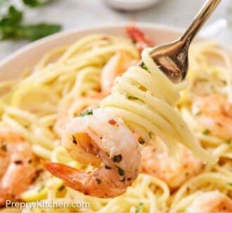 Pinterest graphic of shrimp linguine lifted with noodles wrapped around the fork.