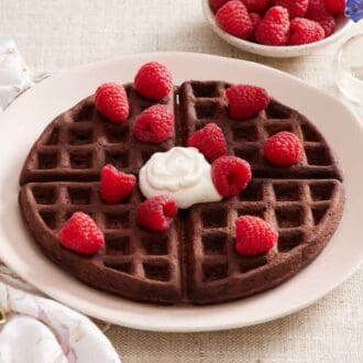 A plate of chocolate waffles with raspberries and whipped cream on top. A fork on the side and a vase of flowers.