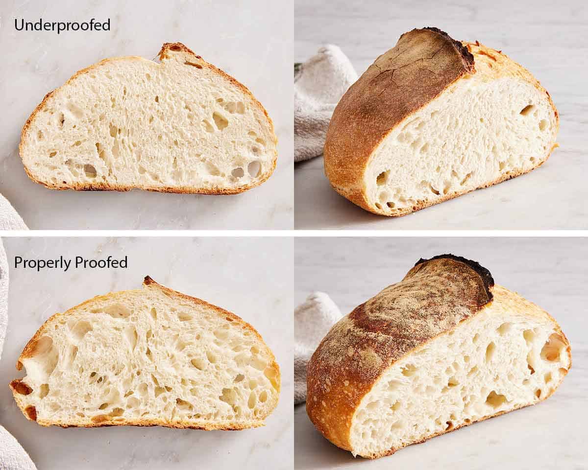 Set of two photos showing the interior of two loaves of sourdough bread showing one underproofed and one properly proofed.