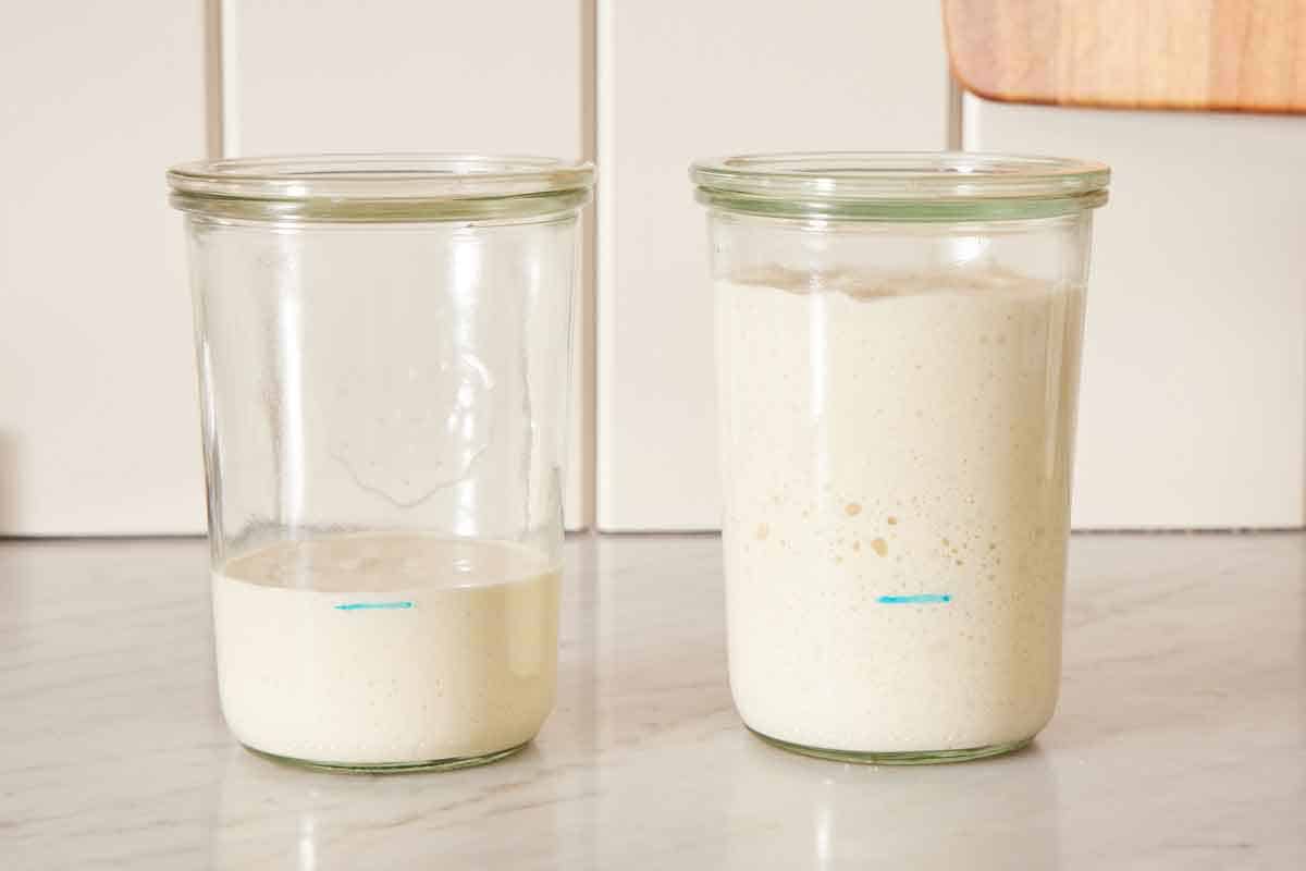 Set of two photos showing before and after an active sourdough starter fed.