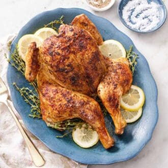 A blue platter of spatchcock chicken with fresh thyme and lemon slices. A fork on the side with some salt and pepper on the other side.