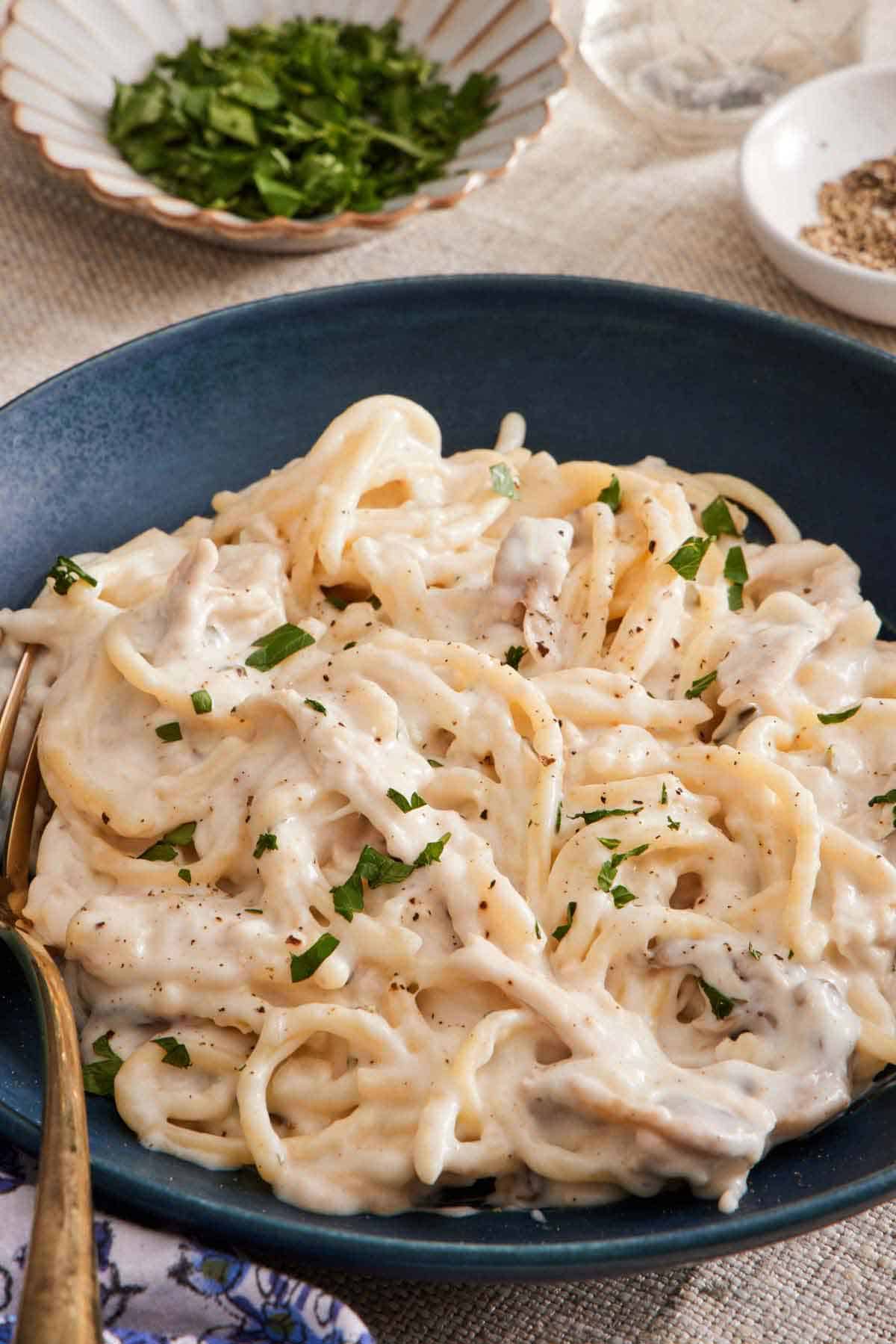 A close up view of a bowl of chicken tetrazzini topped with chopped parsley.