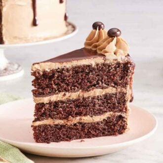 A slice of mocha cake on a plate, showing the three layers and chocolate ganache top with chocolate-covered espresso beans.