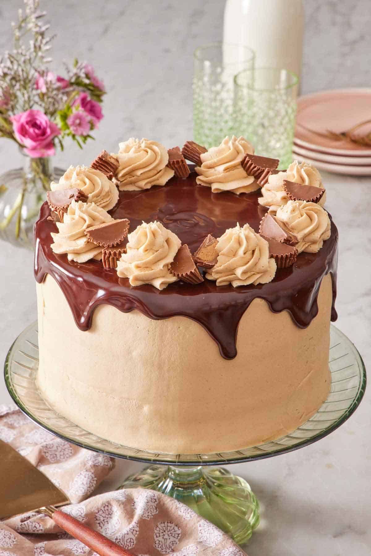 A chocolate peanut butter cake on a green cake stand. Chocolate ganache on top of the cake and dripping down with dollops of frosting and cut mini peanut butter cups.