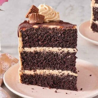 A plate with a slice of chocolate peanut butter cake with three layers with frosting in between topped with chocolate, peanut butter cups, and frosting.