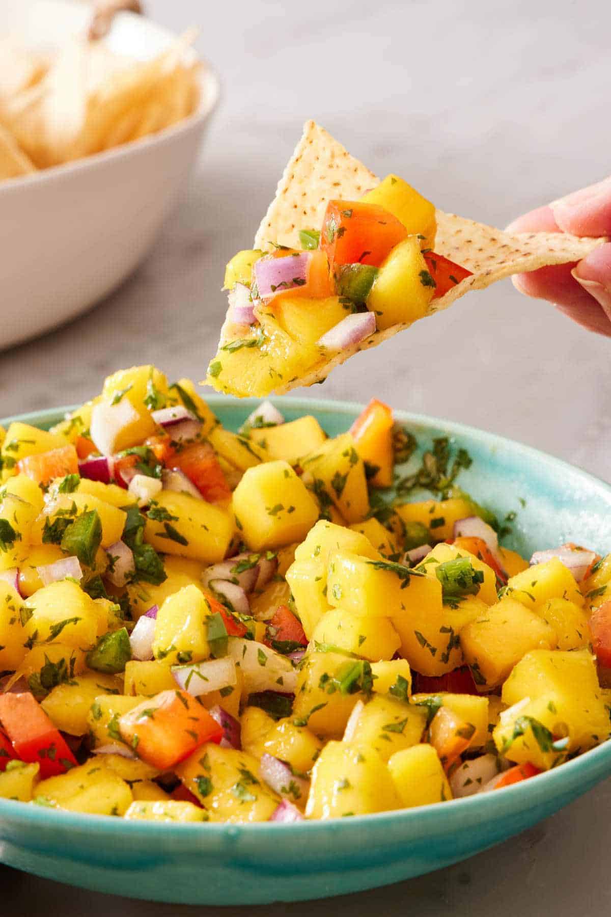 Salsa made of mangos, onions, and peppers on a tortilla chip.