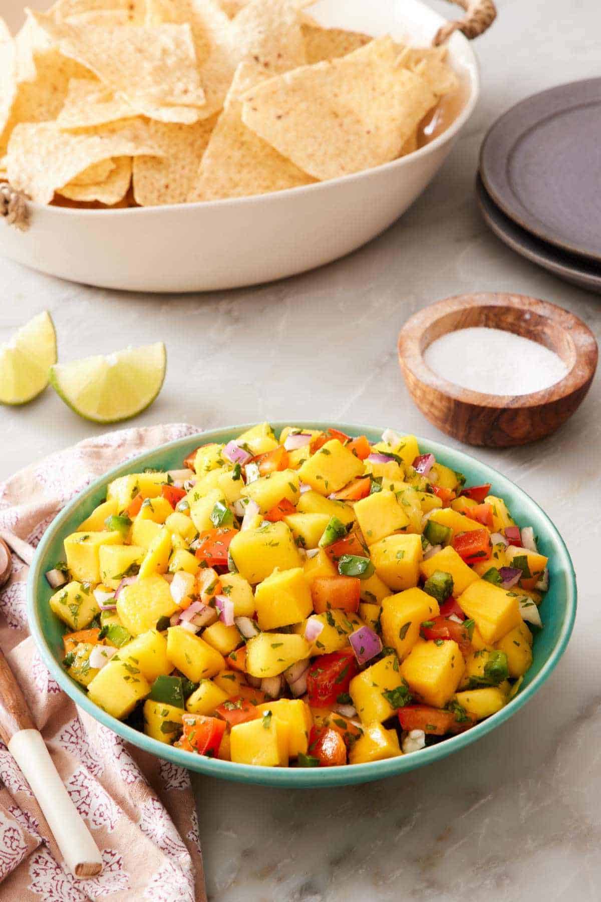 Homemade salsa in a serving bowl with tortilla chips in a bowl in the background. Salt and limes around the bowl.