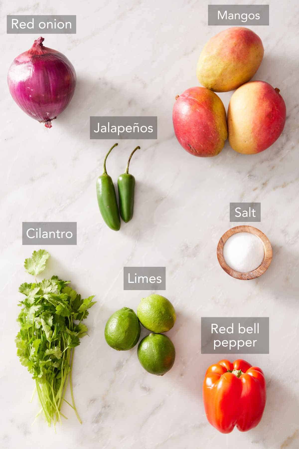 Ingredients to make homemade mango salsa.