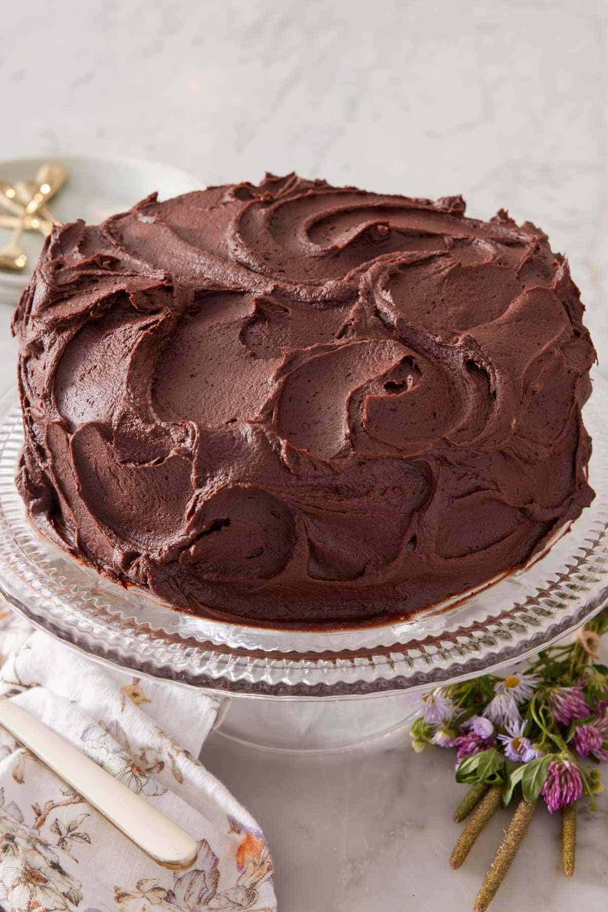 Decadent chocolate cake frosted with chocolate buttercream on a cake plate.