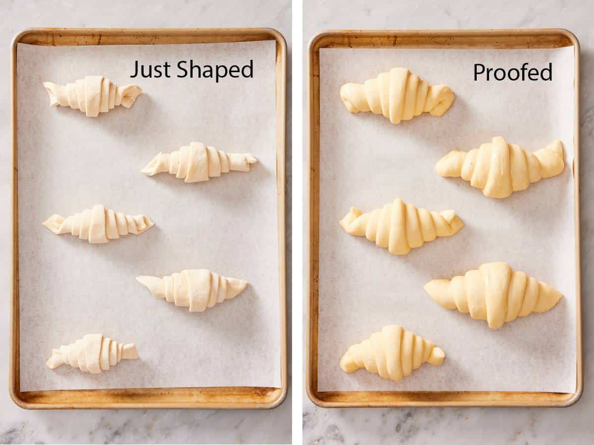 Comparison image showing croissants just shaped and then after proofing.