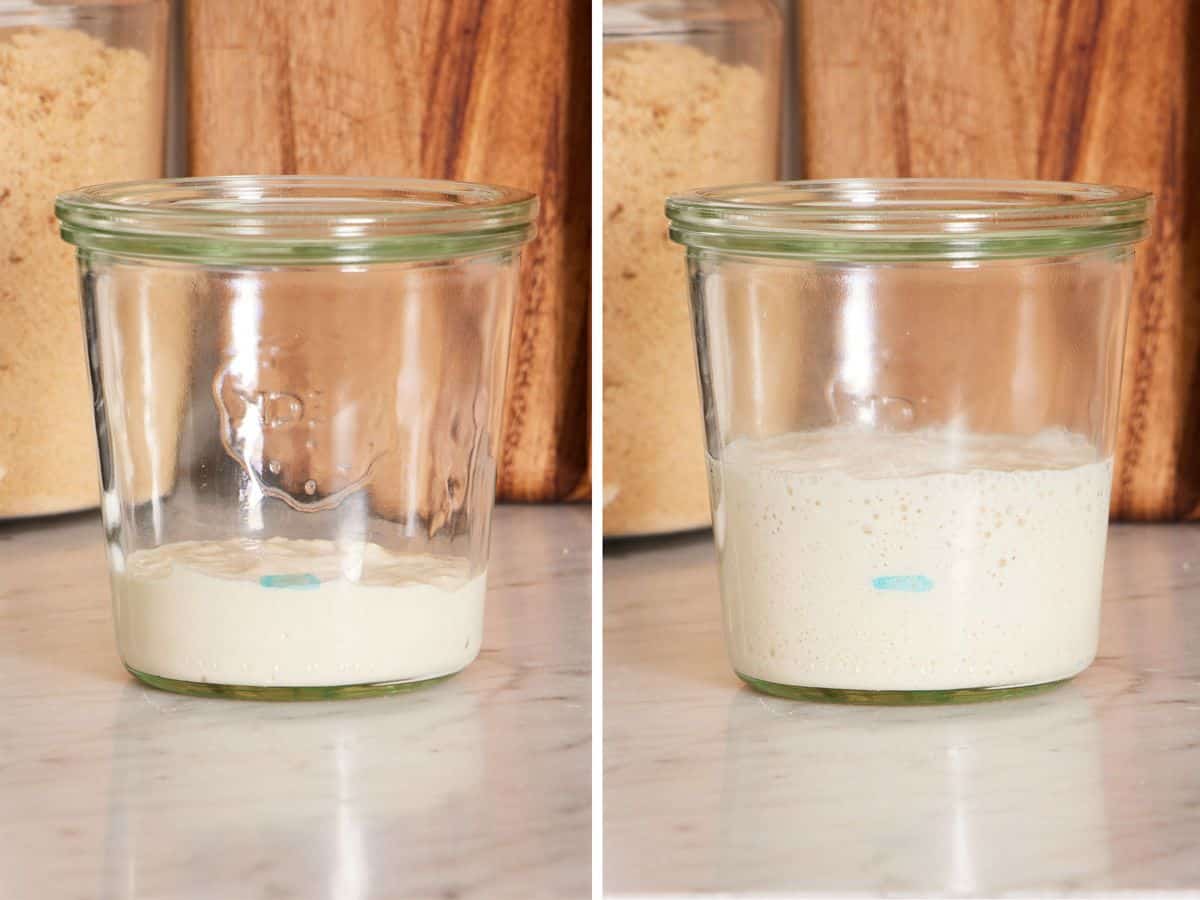 Set of two images showing sourdough starter before and after feeding.