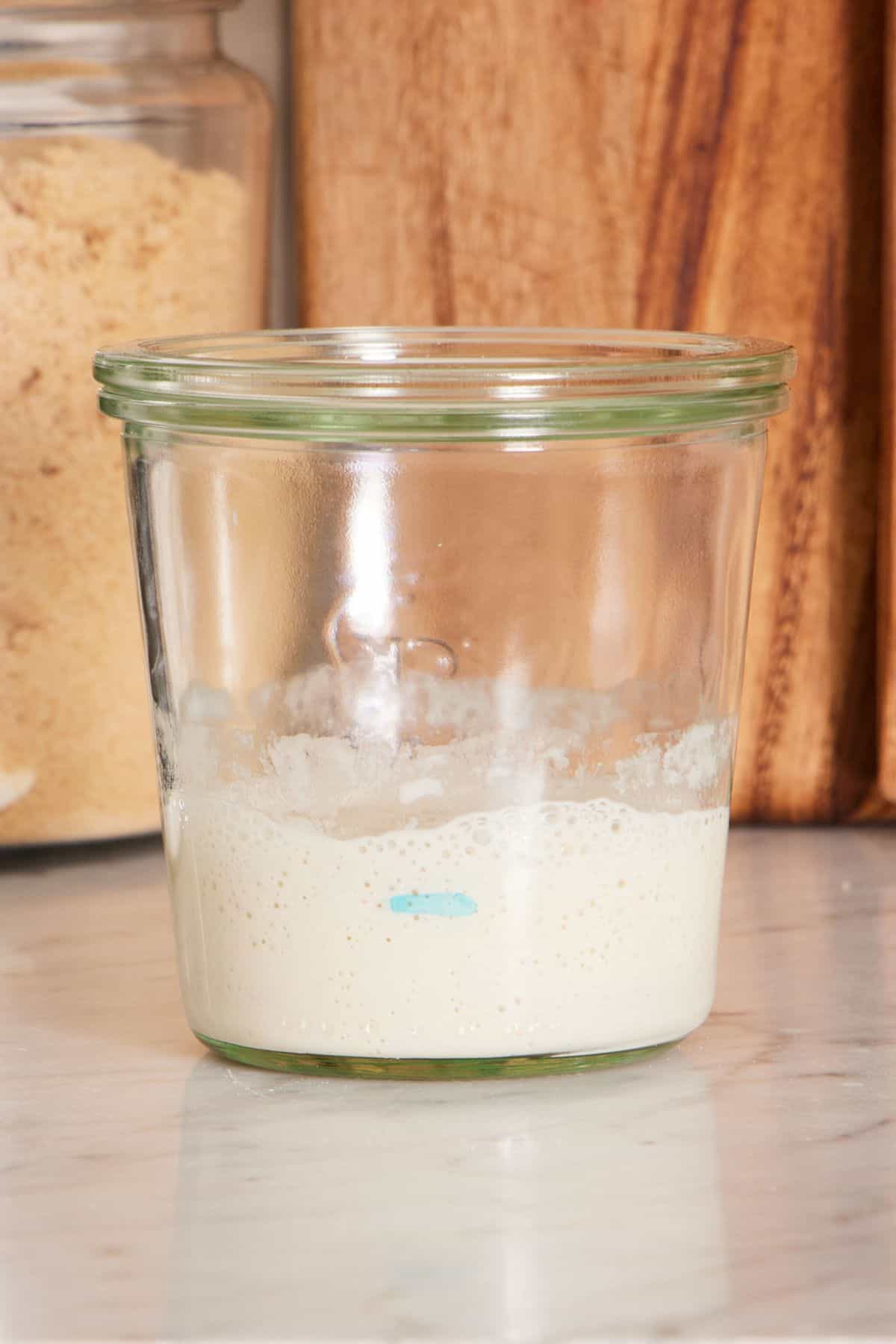 Hungry sourdough starter in a glass jar.