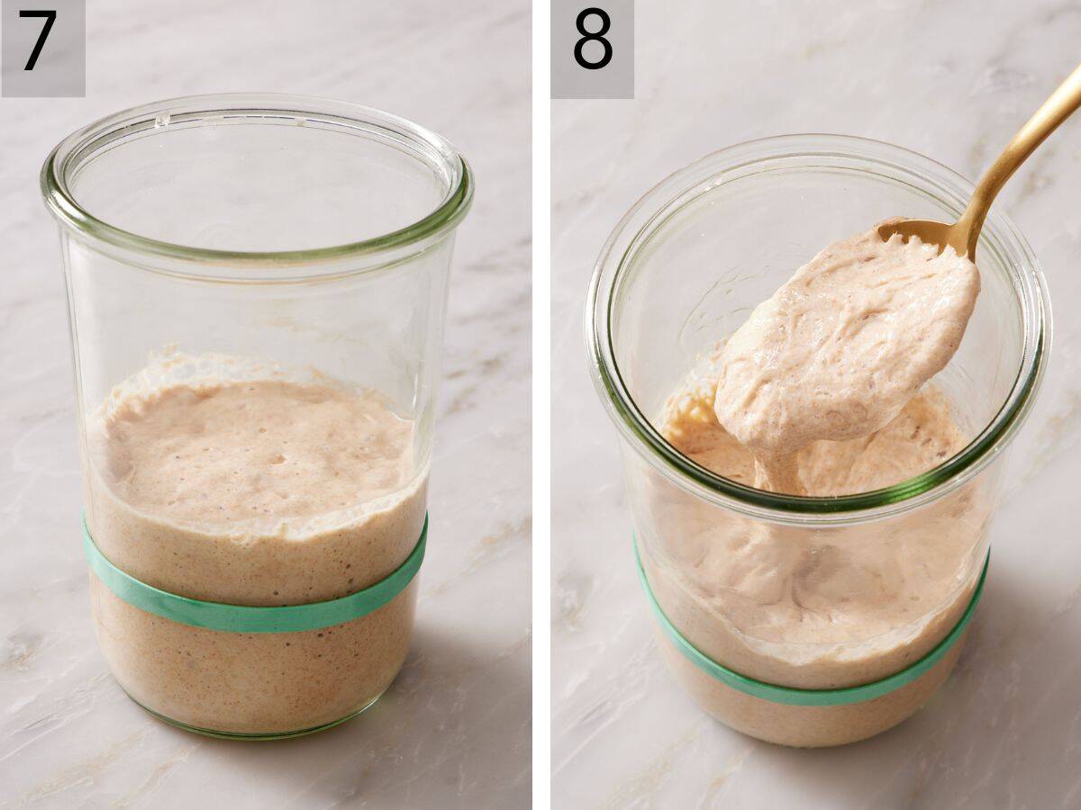 Set of two images showing how much the starter has risen and a spoonful lifted out to discard.